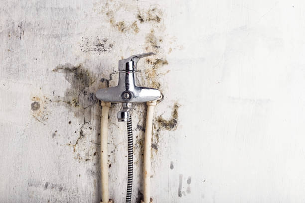 Best Commercial Mold Removal  in Longboat Key, FL